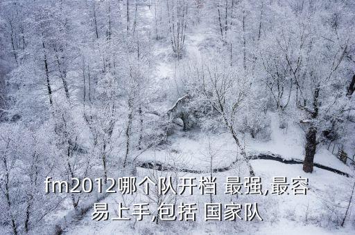fm2012哪個(gè)隊(duì)開檔 最強(qiáng),最容易上手,包括 國家隊(duì)