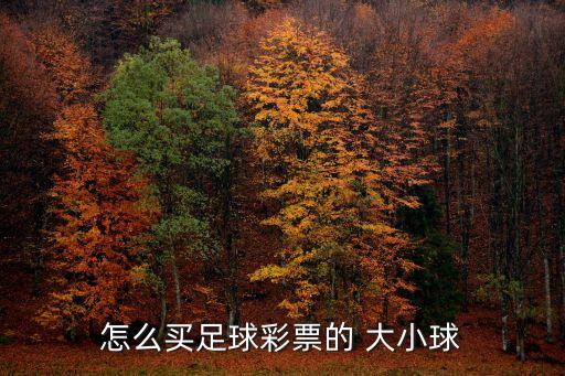 哪個(gè)網(wǎng)站可以買大小球,首次舉辦雙十一我國(guó)抽樣計(jì)票結(jié)果出爐!