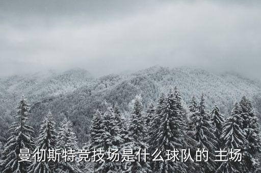曼徹斯特競技場是什么球隊(duì)的 主場