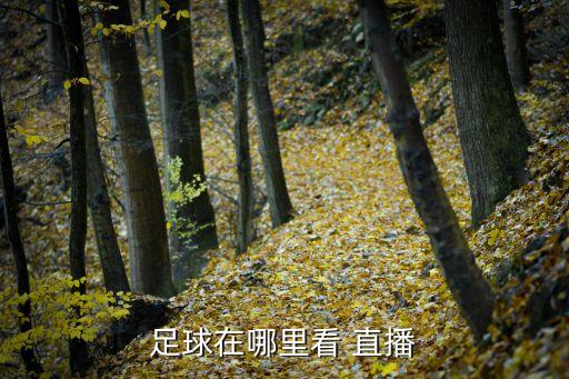 意甲直播在哪個(gè)頻道觀看,足球直播可在正規(guī)軟件觀看