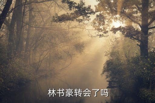 林書(shū)豪離開(kāi)黃蜂會(huì)去哪個(gè),林書(shū)豪選秀失敗后仍不氣餒迎接機(jī)會(huì)