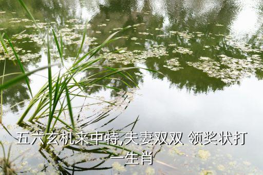 五六玄機(jī)來中特,夫妻雙雙 領(lǐng)獎(jiǎng)狀打一生肖