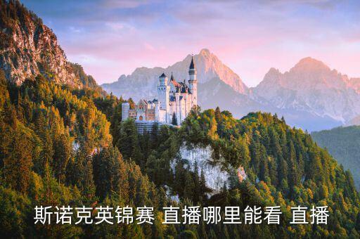 斯諾克哪個(gè)直播軟件,體育電視臺(tái)直播斯諾g球賽和世錦賽直播