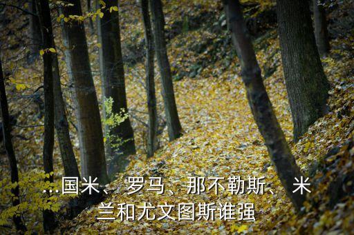 ...國(guó)米、 羅馬、那不勒斯、 米蘭和尤文圖斯誰(shuí)強(qiáng)