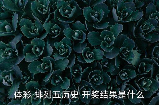 排列五在哪個(gè)地方開獎(jiǎng)結(jié)果,服務(wù)社會(huì)排列5開獎(jiǎng)結(jié)果頁(yè)