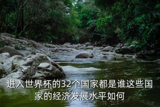 進(jìn)入世界杯的32個國家都是誰這些國家的經(jīng)濟(jì)發(fā)展水平如何