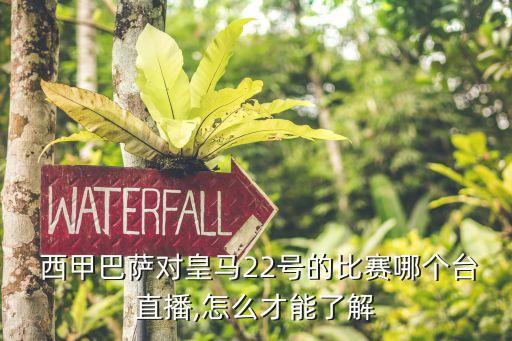 西甲德比哪個衛(wèi)視臺播,皇馬在伯納烏主場迎來巴薩、皇馬直播