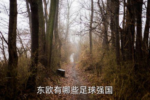 東歐有哪些足球強(qiáng)國
