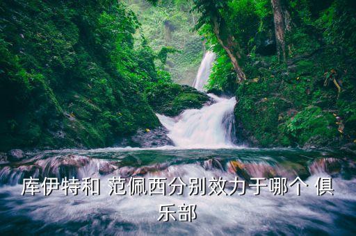 庫伊特和 范佩西分別效力于哪個(gè) 俱樂部