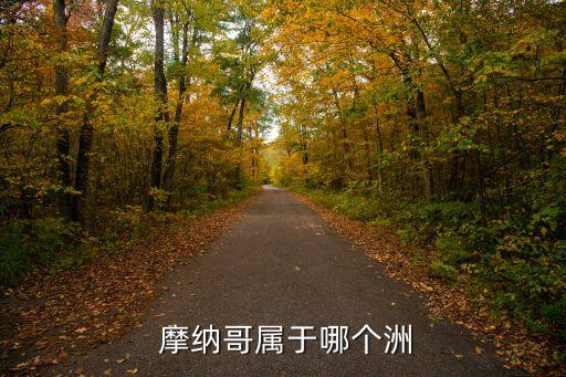  摩納哥屬于哪個(gè)洲