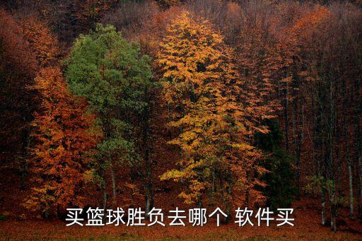 競(jìng)彩哪個(gè)軟件好,中國體育彩票大象體育競(jìng)彩足球籃球出售