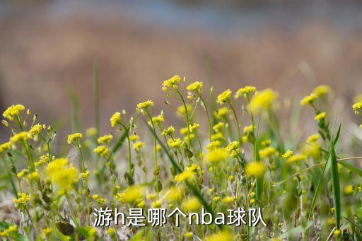 游h是哪個(gè)nba球隊(duì)