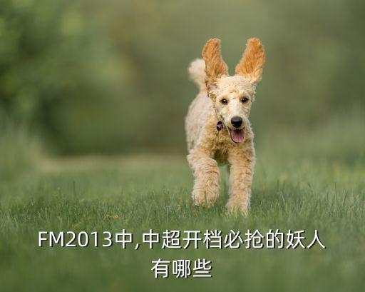 fm2013 哪個國家隊最強,法爾考的得分沒有12分好