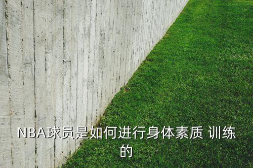 nba挺舉訓練哪個部位,首次嘗試無設(shè)備健身操