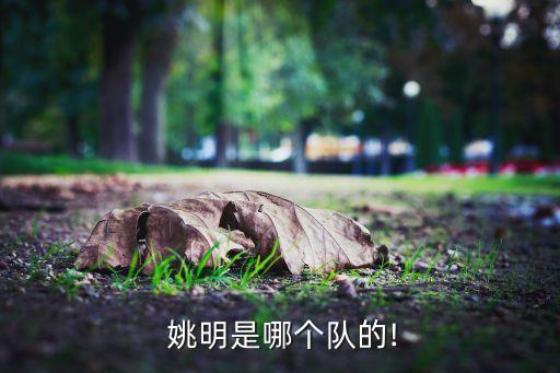  姚明是哪個隊(duì)的!