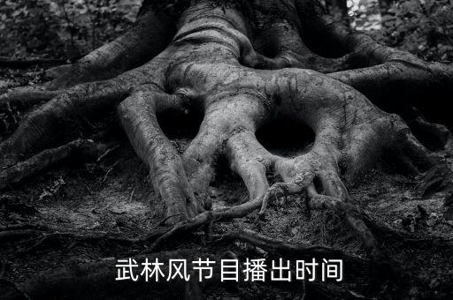 武林風(fēng)在哪個頻道播放,大型武俠娛樂節(jié)目武林風(fēng)稱霸河南衛(wèi)視