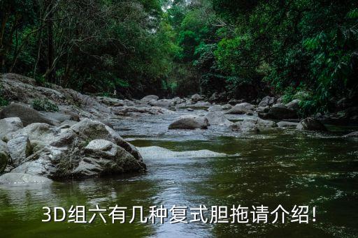 哪個(gè)足彩網(wǎng)站可以偷膽,彩票沒有固定號碼玩家玩的是膽囊