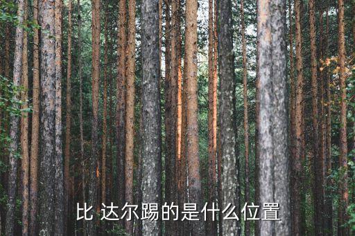 比 達(dá)爾踢的是什么位置