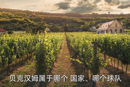  貝克漢姆屬于哪個(gè) 國(guó)家、哪個(gè)球隊(duì)