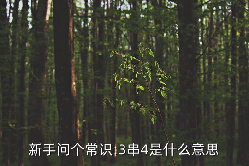 新手問個(gè)常識:3串4是什么意思