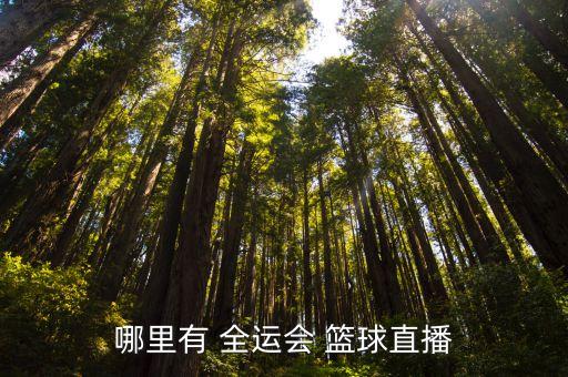 哪里有 全運(yùn)會(huì) 籃球直播