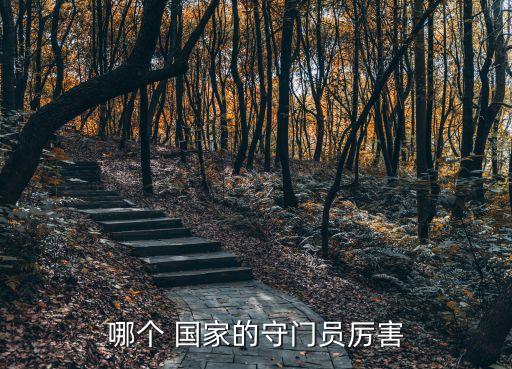 哪個(gè) 國(guó)家的守門(mén)員厲害