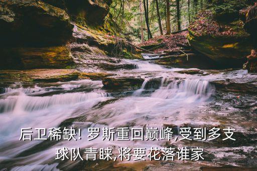 后衛(wèi)稀缺! 羅斯重回巔峰,受到多支 球隊(duì)青睞,將要花落誰(shuí)家