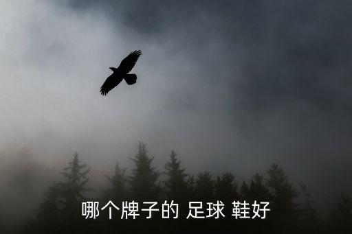 茵寶雙星哪個(gè)足球鞋好,中國(guó)十大品牌網(wǎng)查詢:耐克是其中之一