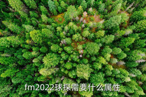 fm2017中超球探哪個好,足球運(yùn)動員的心情寫照