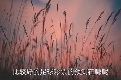 網(wǎng)上買足彩哪個(gè)網(wǎng)站好,新加坡人的理財(cái)攻略