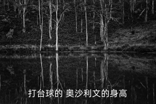 奧沙利文哪個國家,我國臺球好手沙奧利文和特魯姆普雙雙進(jìn)球