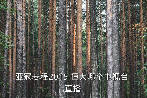 廣州恒大建業(yè)比賽哪個臺直播,直播!廣州恒大2-1戰(zhàn)勝河南