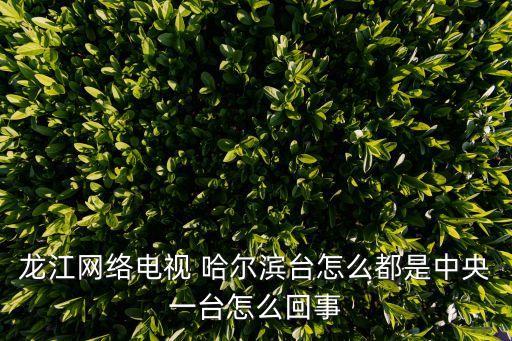 直播哈爾濱哪個頻道,央視綜合頻道:哈爾濱永遠(yuǎn)是cctv1