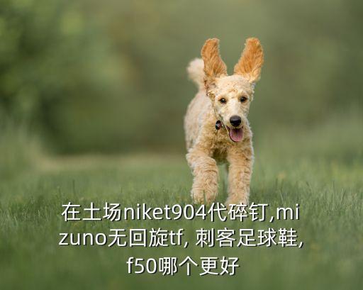 在土場niket904代碎釘,mizuno無回旋tf, 刺客足球鞋, f50哪個(gè)更好