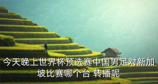 今天晚上世界杯預(yù)選賽中國男足對新加坡比賽哪個(gè)臺(tái) 轉(zhuǎn)播呢