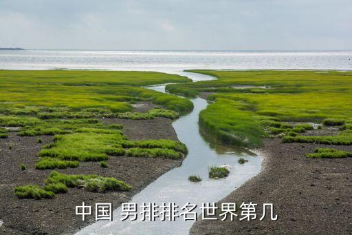 中國(guó) 男排排名世界第幾