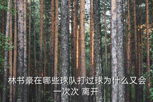  林書豪在哪些球隊(duì)打過(guò)球?yàn)槭裁从謺?huì)一次次 離開(kāi)