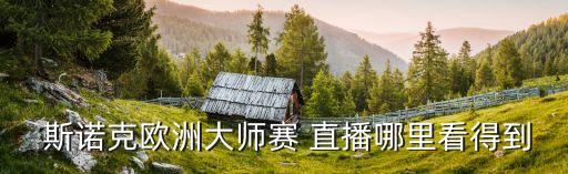 哪個臺可以看到斯諾克直播,電視直播軟件可下載第三方直播觀看