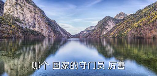 哪個(gè) 國(guó)家的守門(mén)員 厲害