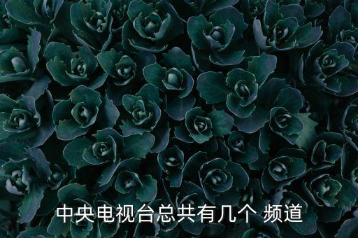 央視綜合頻道是哪個頻道,央視15頻道播出:高清、清、直播