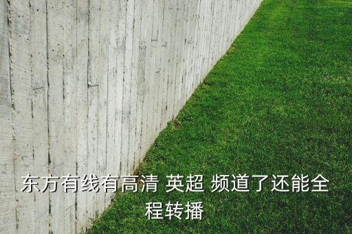 英超在新視覺(jué)哪個(gè)頻道,東方有線高清體育頻道只需20元/月