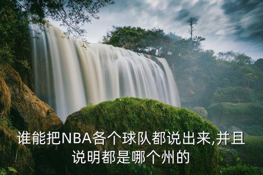 喬治羅尼亞哪個聯(lián)賽,保羅喬治:nba球員