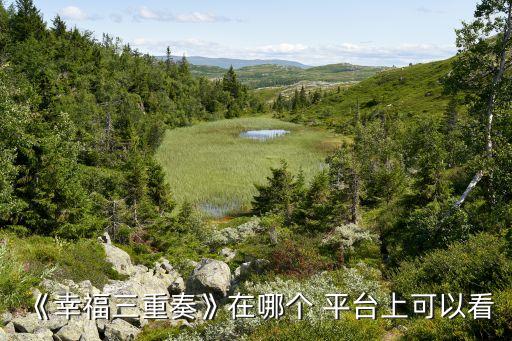 福原愛在哪個平臺直播,我國乒乓球女將張怡寧擊敗福原love