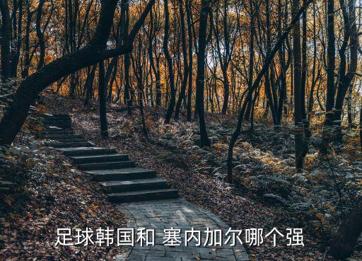 足球韓國和 塞內(nèi)加爾哪個強(qiáng)