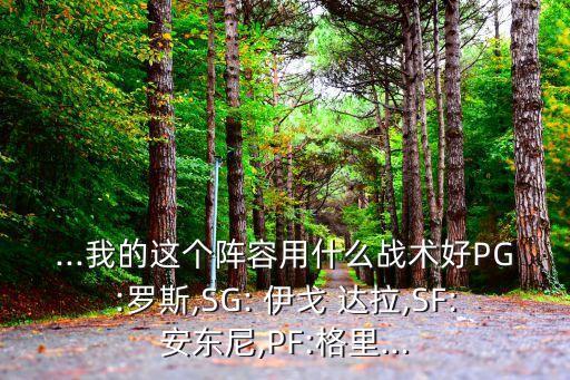 ...我的這個陣容用什么戰(zhàn)術好PG:羅斯,SG: 伊戈 達拉,SF:安東尼,PF:格里...