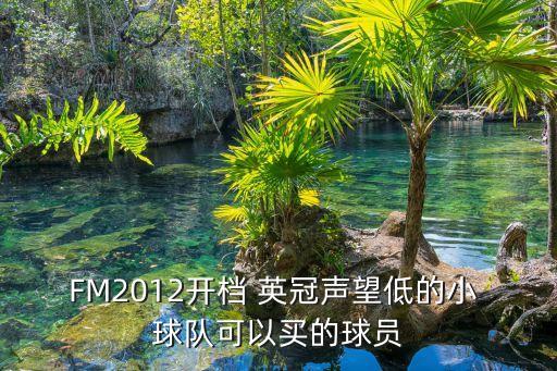 FM2012開(kāi)檔 英冠聲望低的小 球隊(duì)可以買的球員