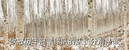 歐冠歷年冠軍球隊的隊長分別是誰