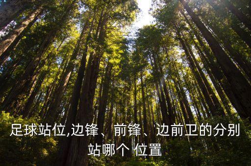 足球站位,邊鋒、前鋒、邊前衛(wèi)的分別站哪個(gè) 位置