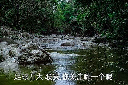 五大聯(lián)賽哪個(gè)最受歡迎,足壇消息:德國上座率確保超越其他聯(lián)賽