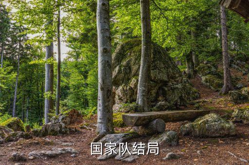國家隊(duì)結(jié)局